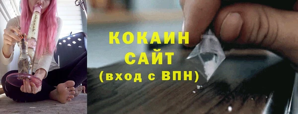 твердый Михайлов