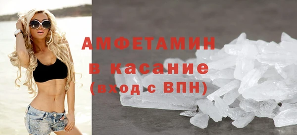 твердый Михайлов