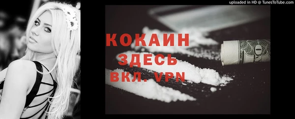 твердый Михайлов