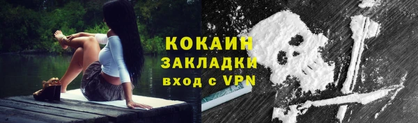 твердый Михайлов