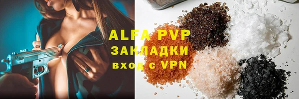 твердый Михайлов